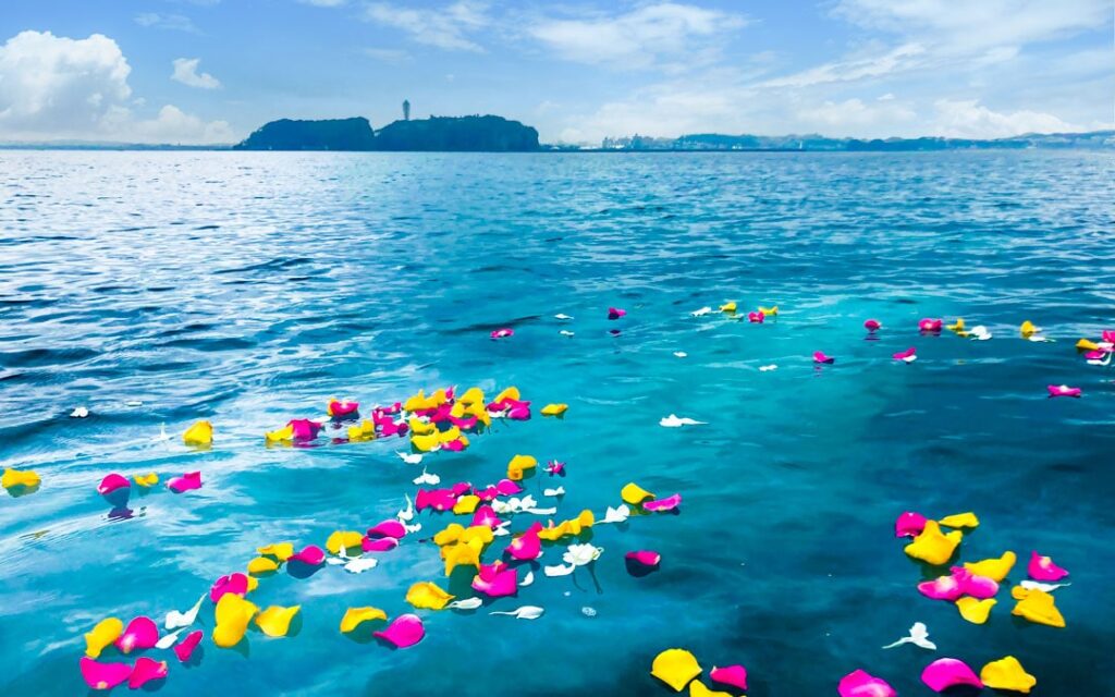 江ノ島近海の鎌倉沖での散骨