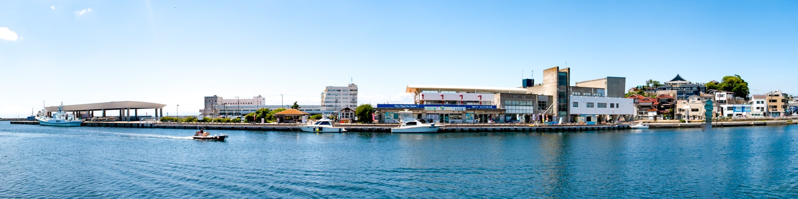 三崎港のうらりマルシェ